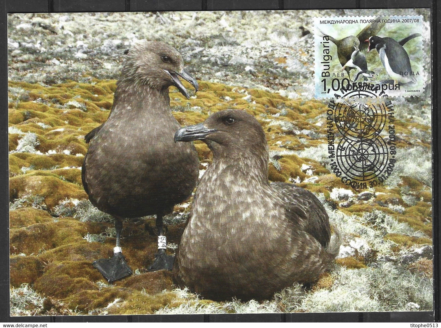 BULGARIE. Timbre Issu Du BF 242 De 2008 Sur Carte Maximum. Année Polaire Internationale/Skua. - Internationale Pooljaar