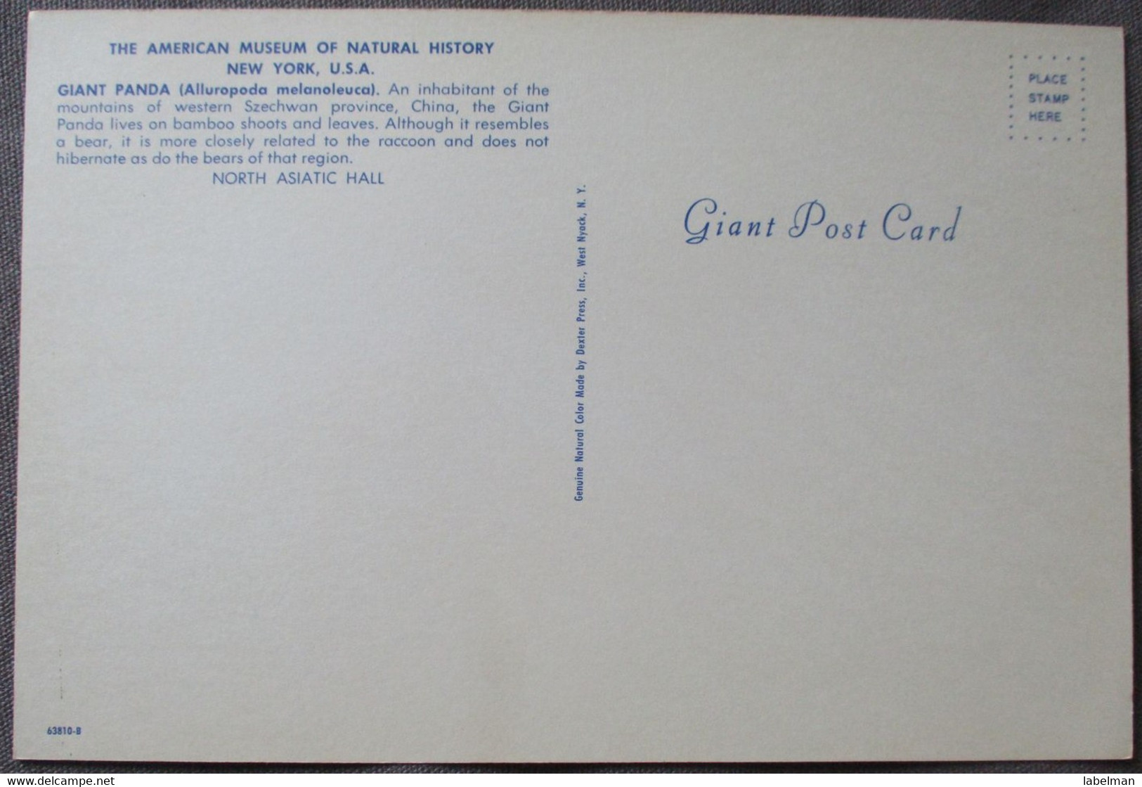 NEW YORK USA GIANT PANDA CARD HISTORY MUSEUM NATURAL GIANT XL CARTE POSTALE ANSICHTSKARTE CARTOLINA POSTCARD PC PC AK - Long Island