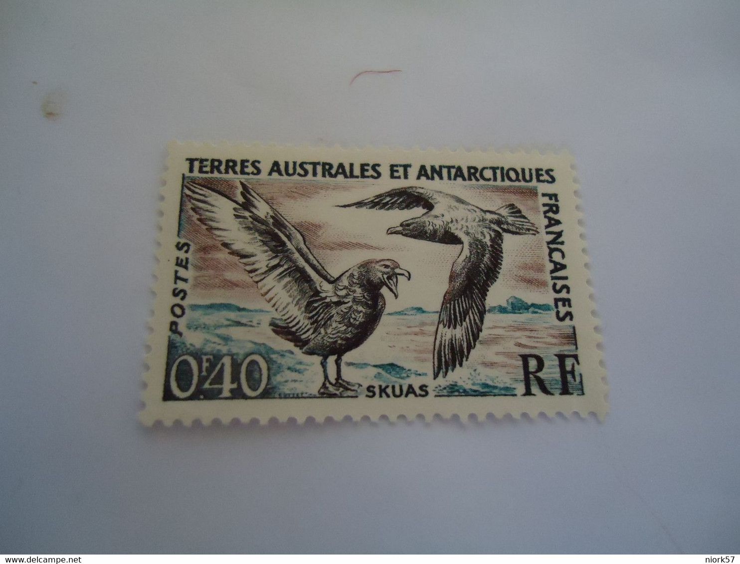 AUSTRALIAN  ANTARCTIC  TERRITORY   MNH  STAMPS  BIRDS BIRD - Other & Unclassified