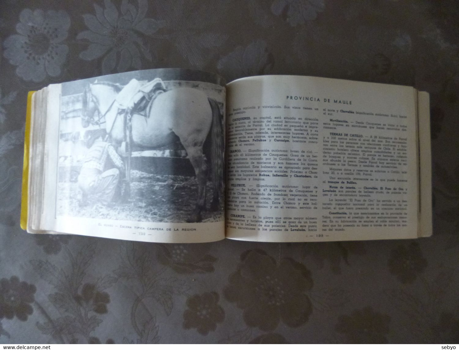CHILI: Guide 1955. Guia del veraneante 1955.