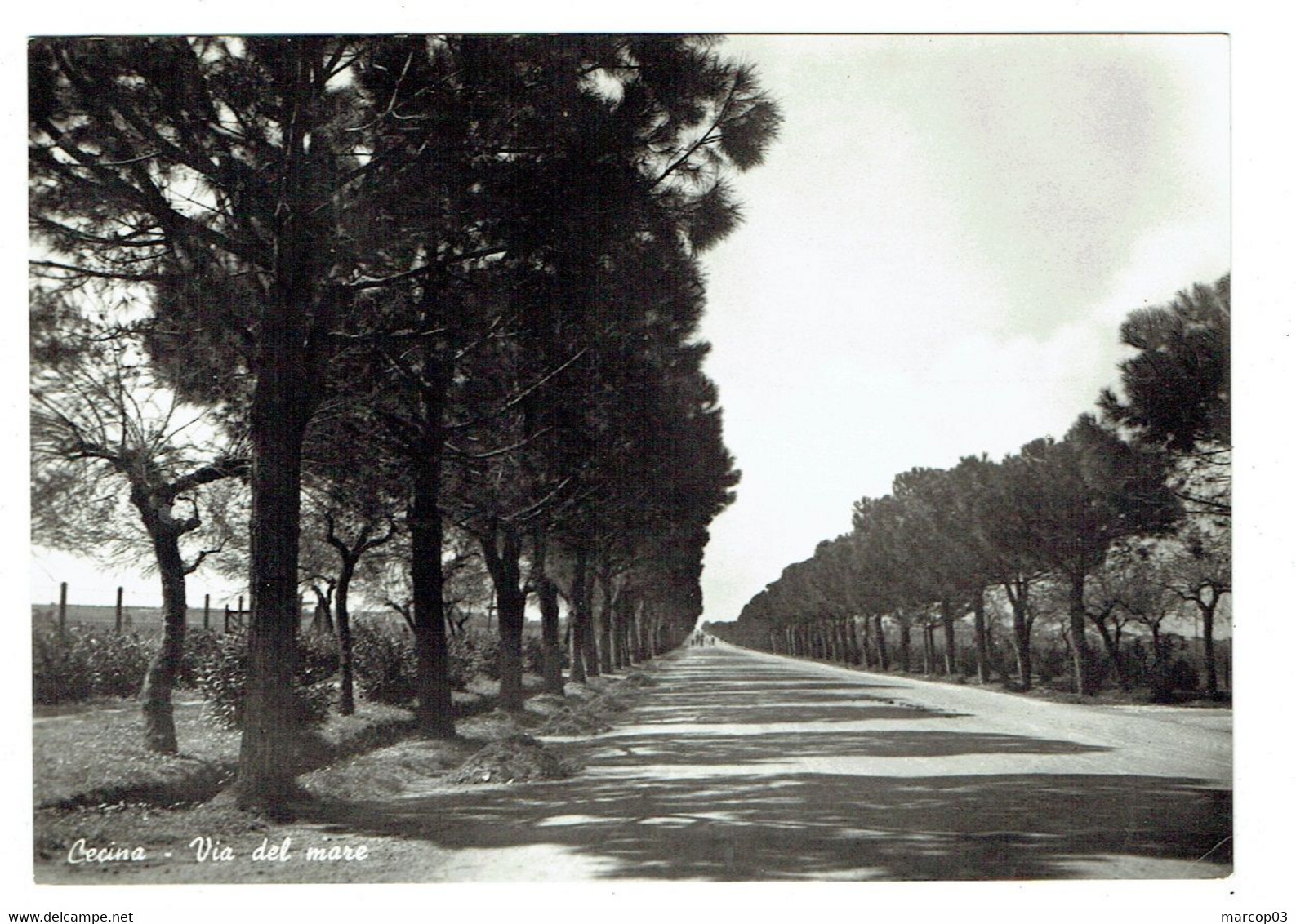 ITALIE CECINA Via Del Mare - Livorno