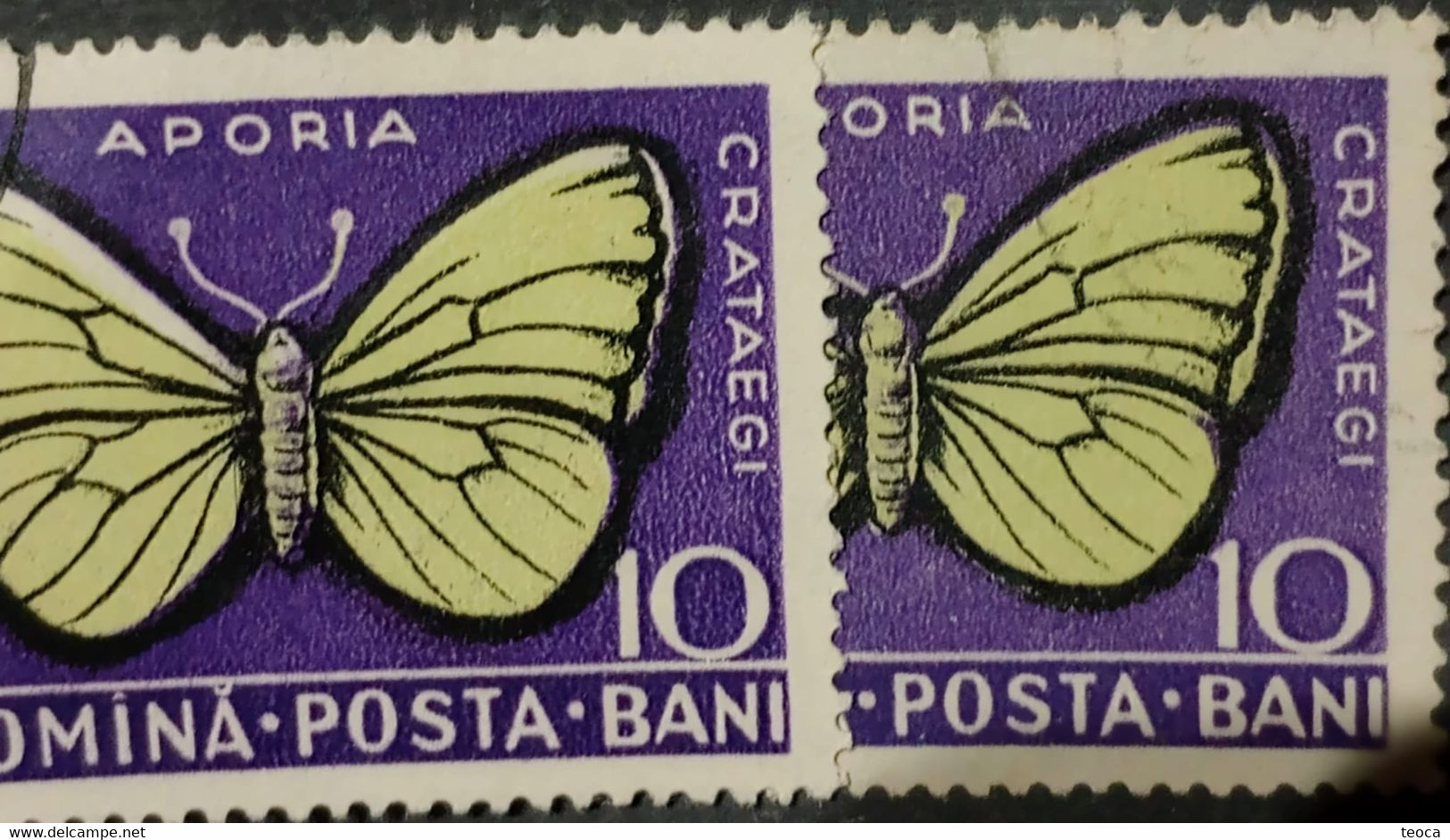 Errors Romanua 1956 MI 1586 Printes With Butterfly Wings Displaced From The Frame, Butterfly Displaced  In Im Butterfly - Plaatfouten En Curiosa