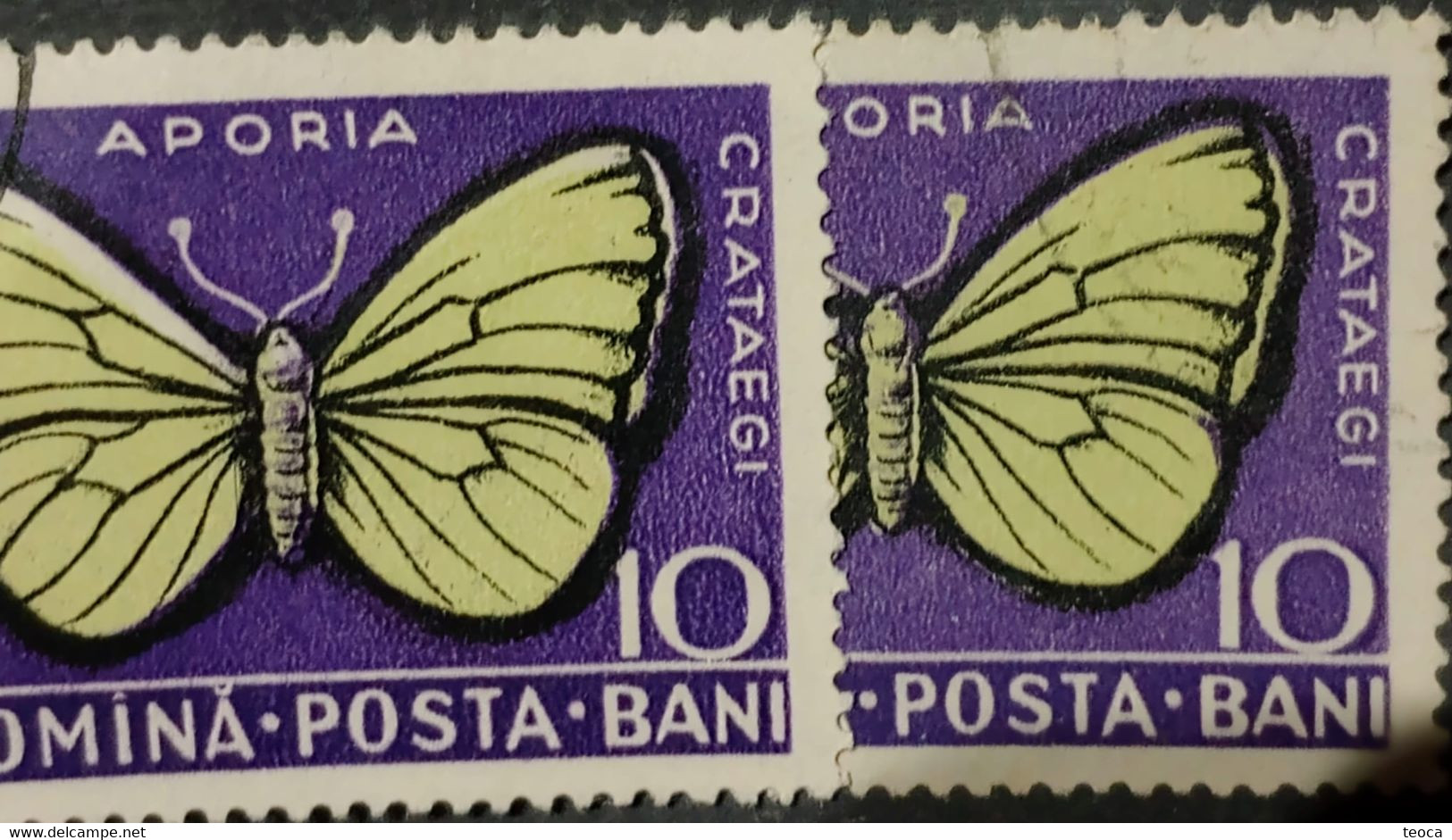 Errors Romanua 1956 MI 1586 Printes With Butterfly Wings Displaced From The Frame, Butterfly Displaced  In Im Butterfly - Abarten Und Kuriositäten