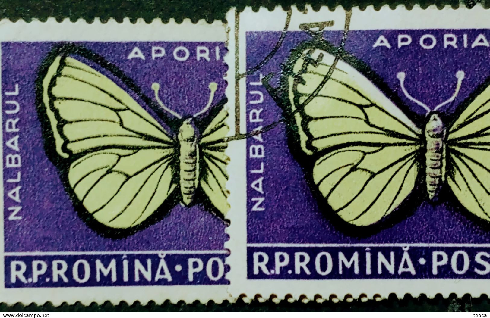 Errors Romanua 1956 MI 1586 Printes With Butterfly Wings Displaced From The Frame, Butterfly Displaced  In Im Butterfly - Abarten Und Kuriositäten