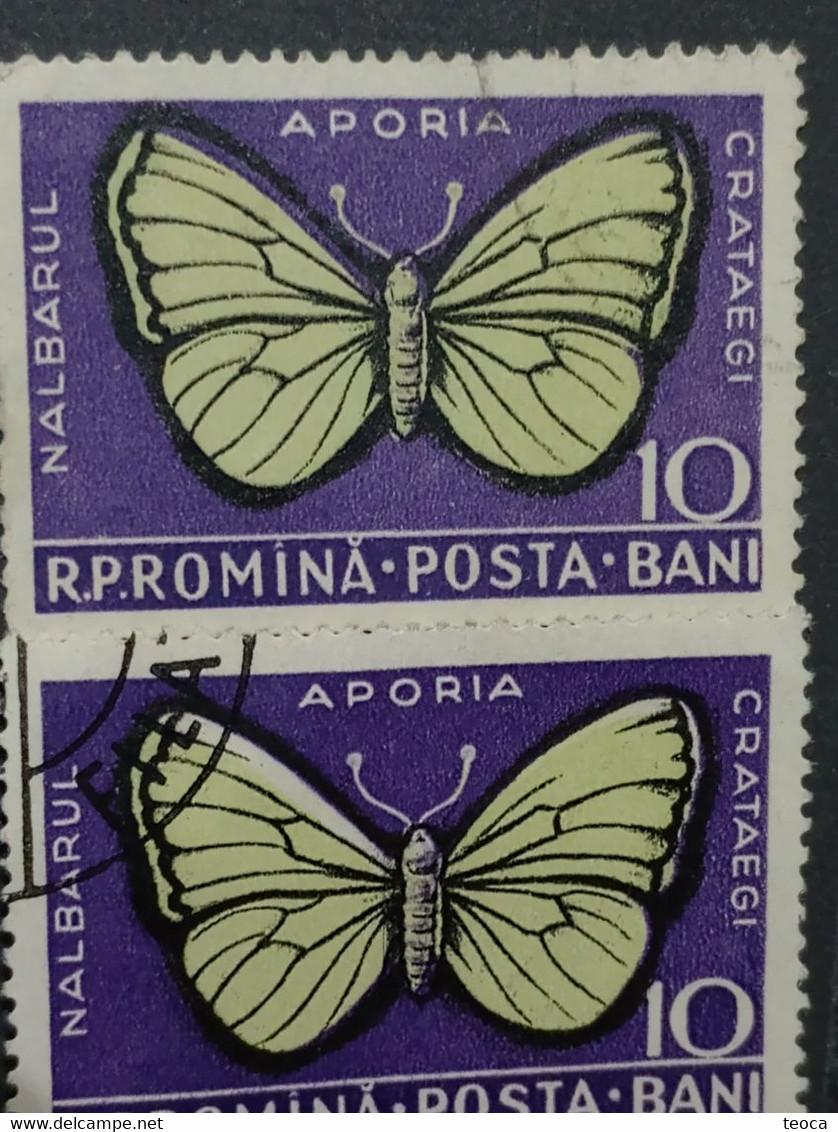 Errors Romanua 1956 MI 1586 Printes With Butterfly Wings Displaced From The Frame, Butterfly Displaced  In Im Butterfly - Abarten Und Kuriositäten