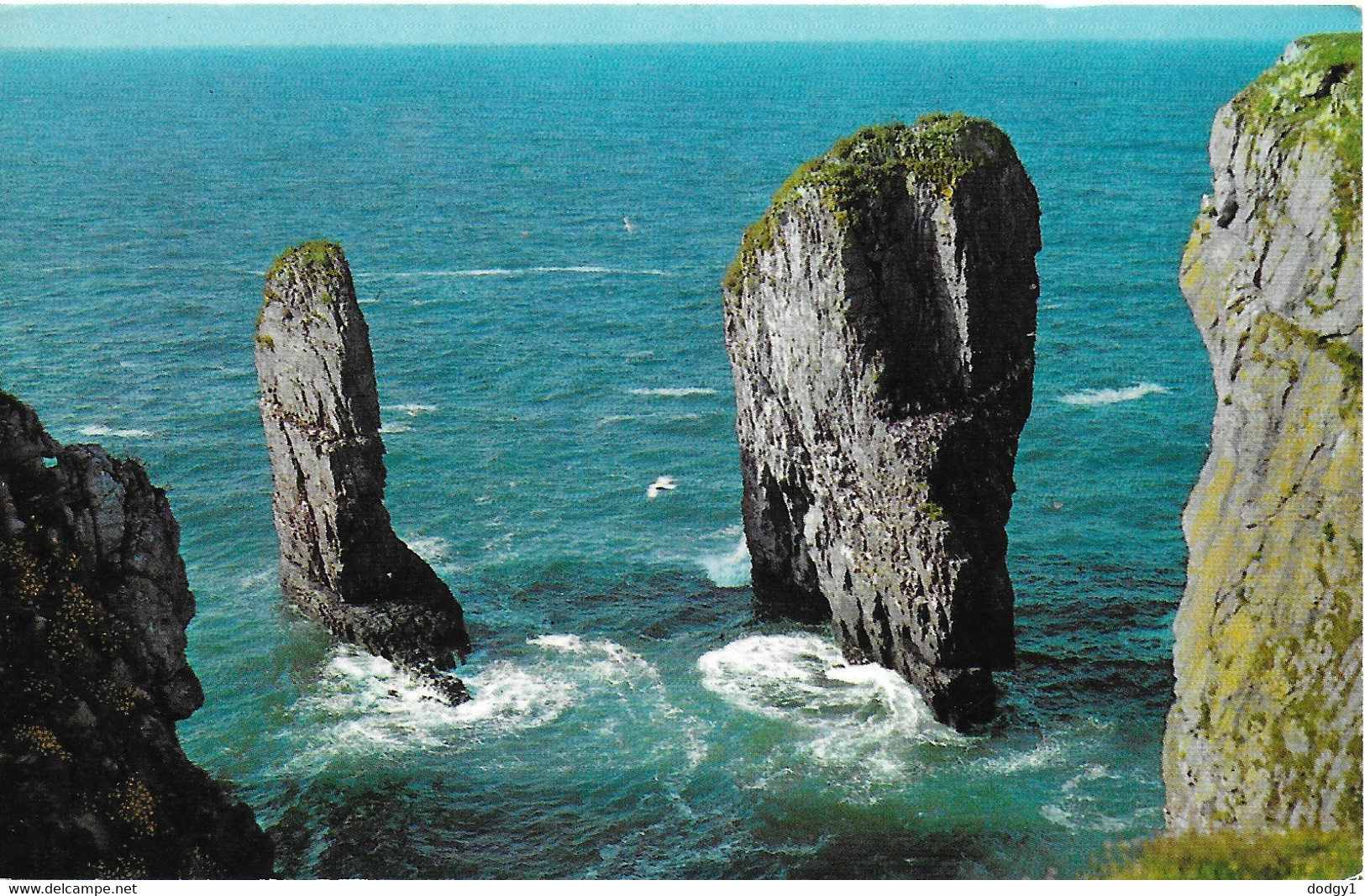 STACK ROCKS, PEMBROKESHIRE, WALES. UNUSED POSTCARD   Tw5 - Pembrokeshire