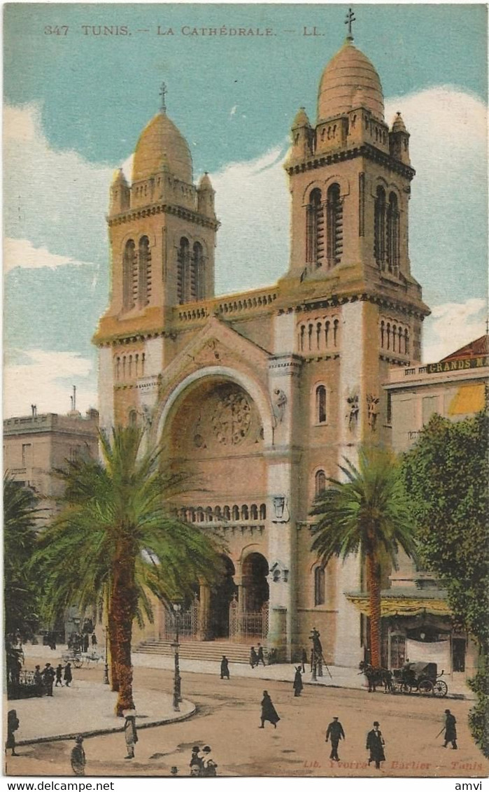 22-9-2805 Tunis La Cathedrale Colorisée - Tunisia