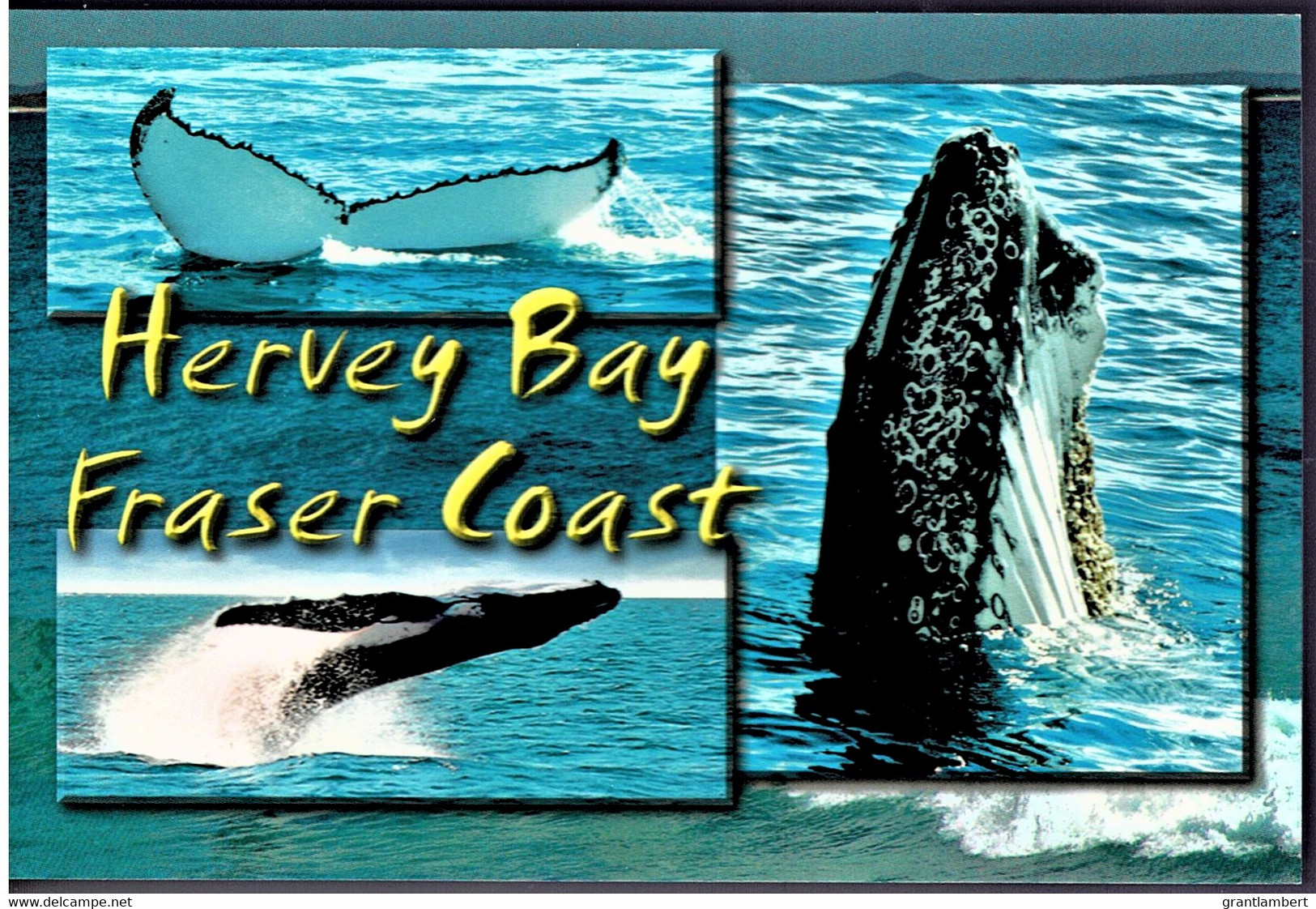 Hervey Bay Whales, Fraser Coast, Queensland - Unused - Otros & Sin Clasificación