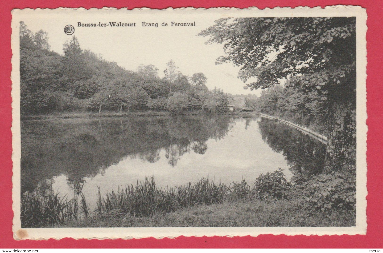 Boussu-lez-Walcourt - Etang De Feronval ( Voir Verso ) - Froidchapelle