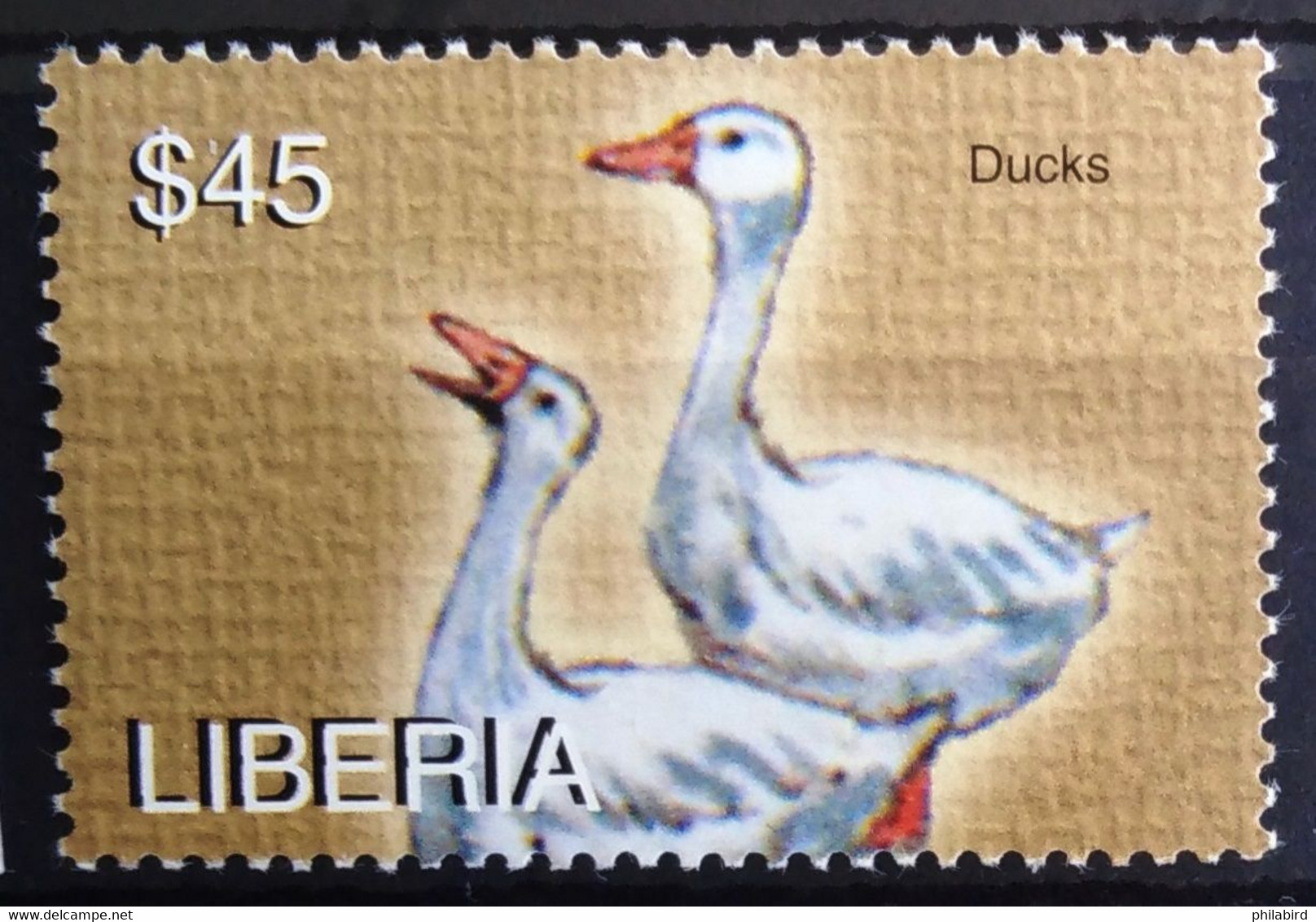 OISEAUX - LIBERIA                     N° 4351 D                    NEUF** - Ganzen