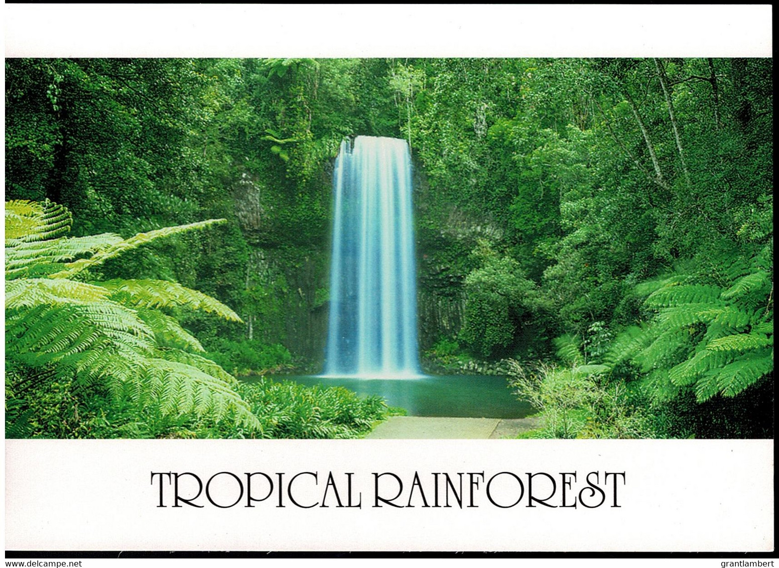 Milla Milla Falls, Tropical Rainforest, North Queensland - Unused - Far North Queensland