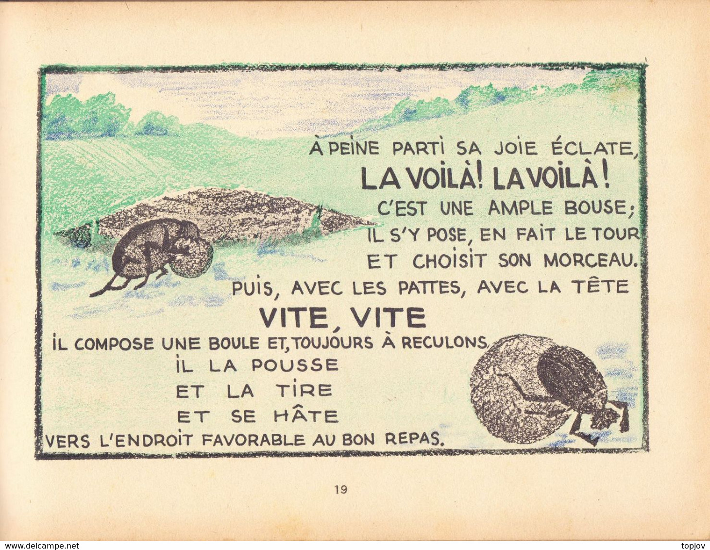 FRANCE - LA VIE DES BETES  LAROUSSE PARIS - PAPILLON  GRILLON  BOUSIER  LES FOURMIS - 40 Pages - 1930 - Encyclopédies