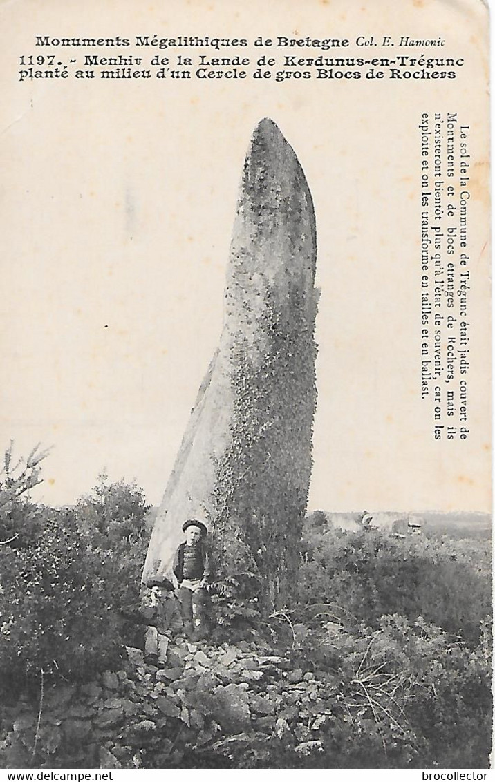 TREGUNC( 29 ) - Menhir De La Lande De Kerdunus - Trégunc