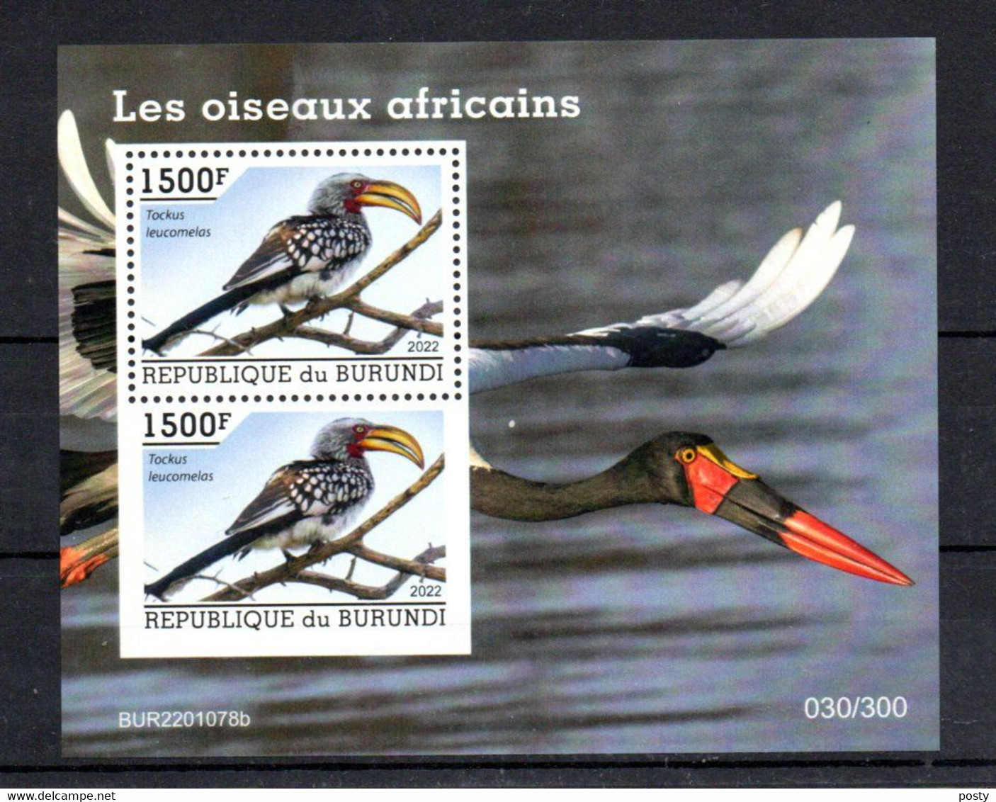 BURUNDI - 2022 - B/F - M/S - BIRDS - OISEAUX - TOUCAN - TOCKUS LEUCOMELAS - TOUCANO - - Blokken & Velletjes
