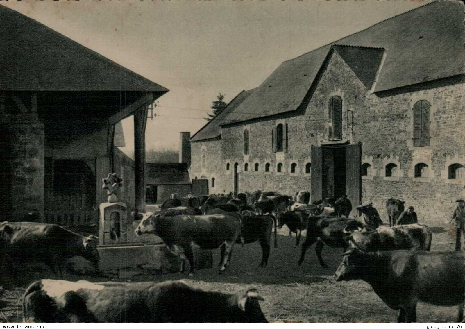 56-BREHAN-LOUDEAC...LA FERME...CPSM GRAND FORMAT - La Gacilly