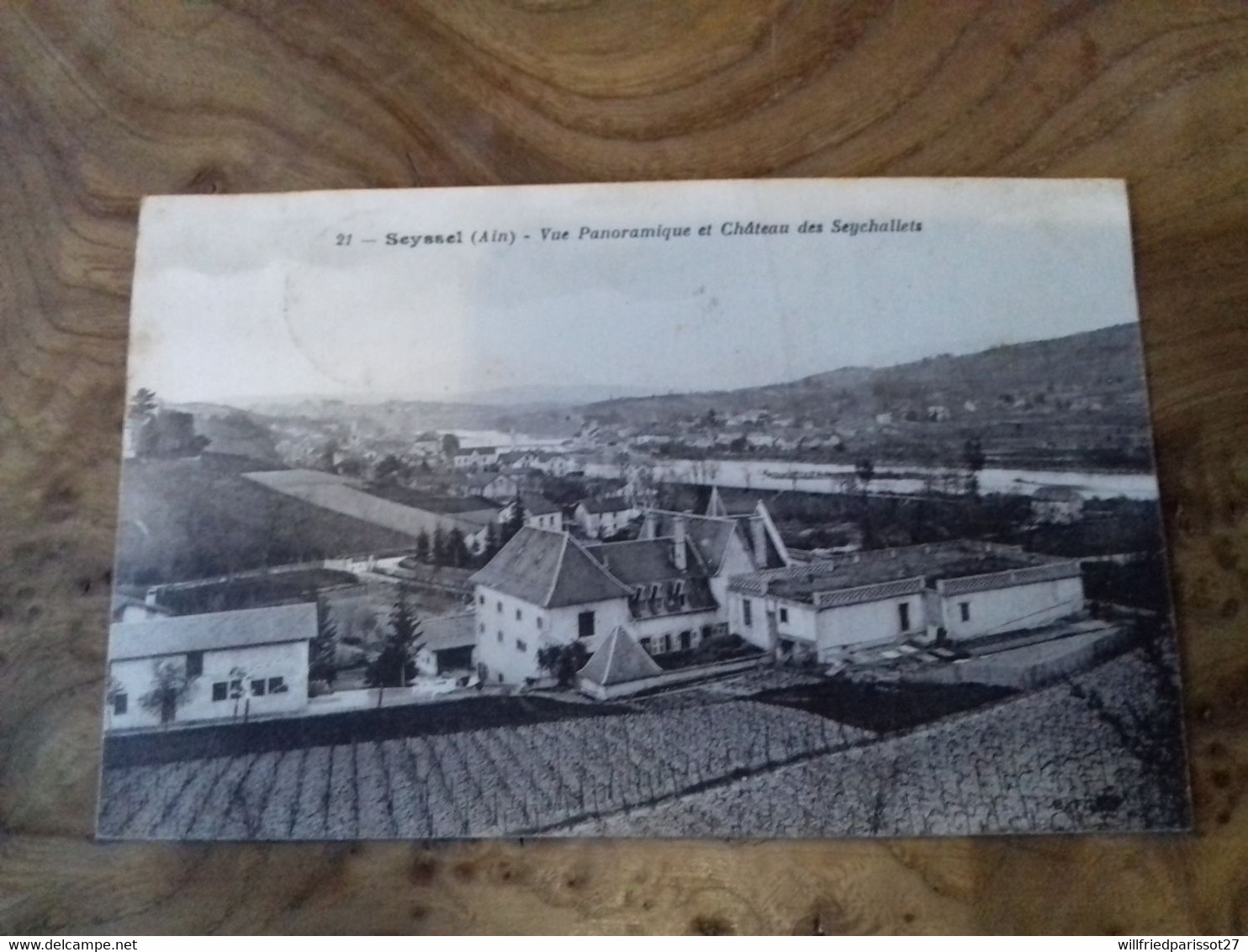 74/ SEYSSEL VUE PANORAMIQUE ET CHATEAU DES SEYCHALLETS - Seyssel