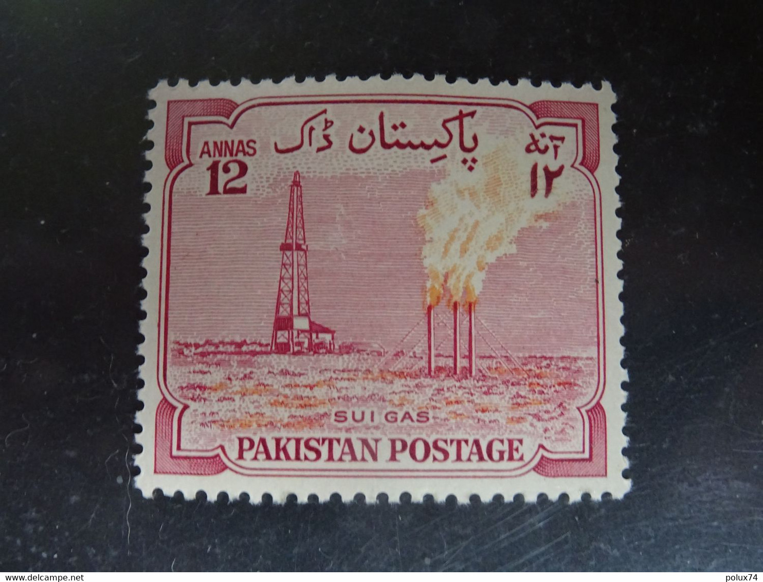 PAKISTAN  Neuf**  1955  MNH - Pakistan