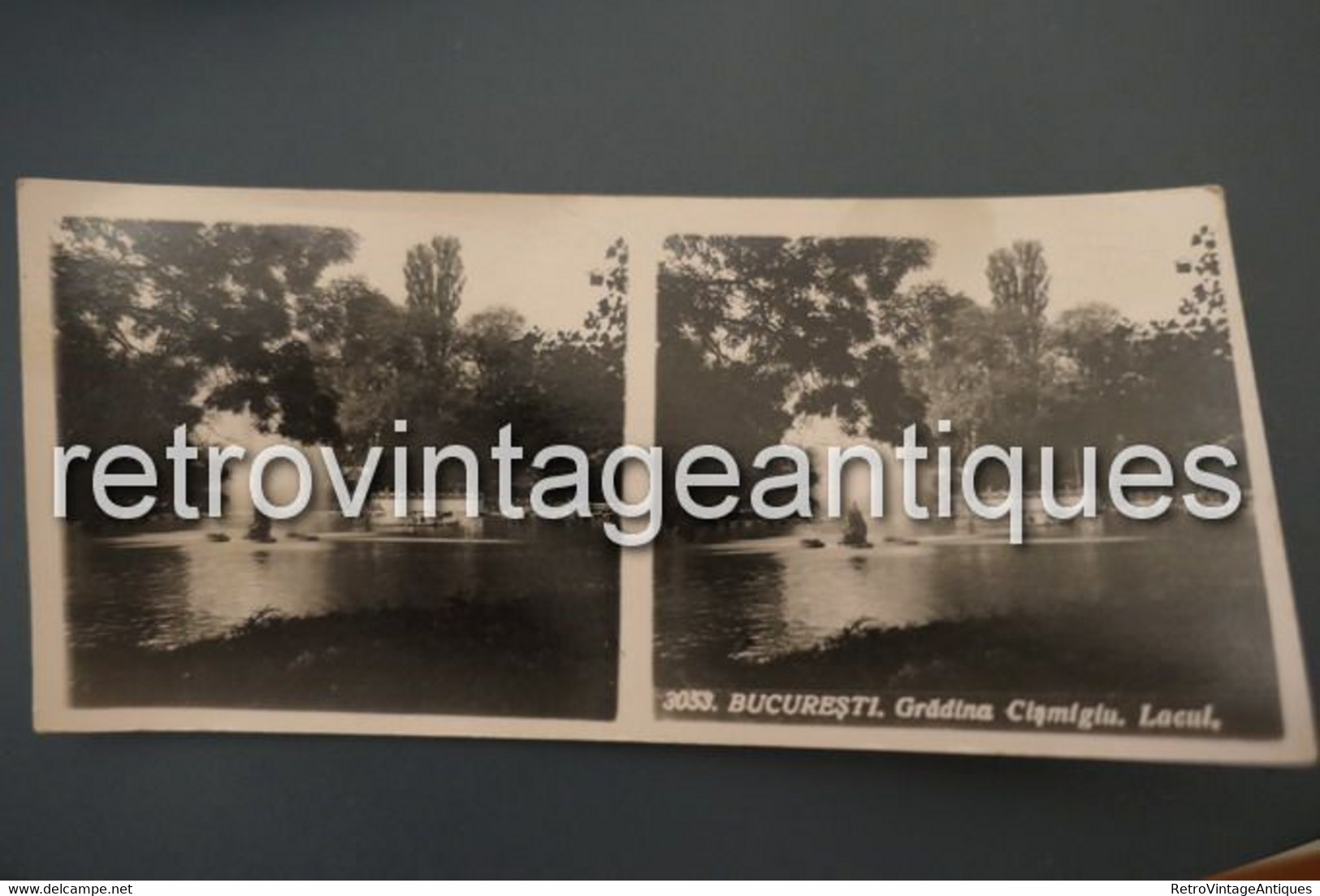 Fotografii Stereoscopice Bucuresti, Romania - Gradina Cismigiu, Lacul - Parcul Perioada Interbelica - Visionneuses Stéréoscopiques