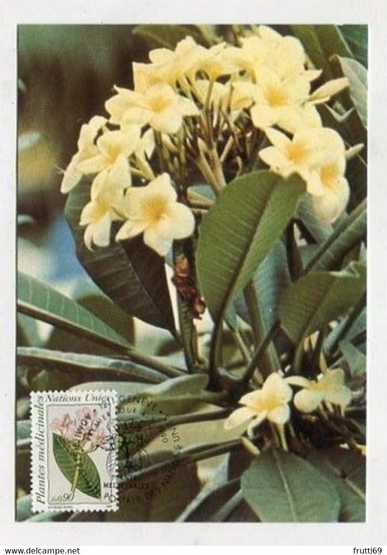 MC 076158 - UNITED NATIONS - Plantes Medicinales - Cartes-maximum