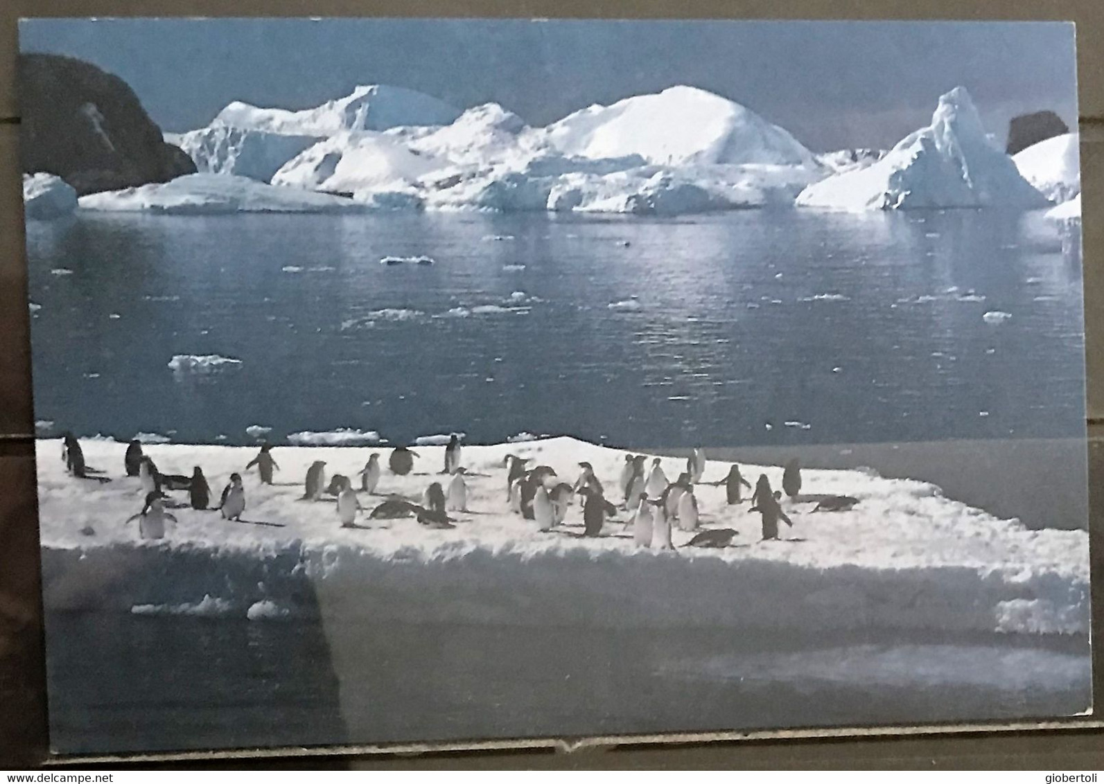 T.A.A.F.: Intero Stationery, Entier, Pinguini, Penguins, Pingouin - Fauna Antartica