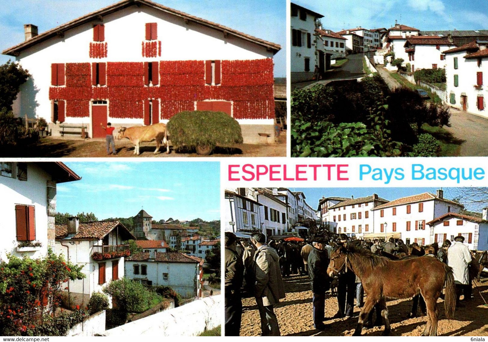 ESPELETTE   Pays Basque Séchage Des Piments, Vue  Générale, Foire Aux Pottoks     (recto-verso) 64 - Espelette