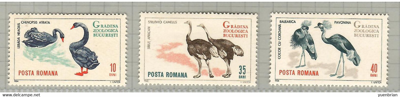 Romania 1964, Bird, Birds, Zoo, Swan, Ostrich, 3v, MNH** (Split From Set Of 8v) Very Good Condition - Straussen- Und Laufvögel