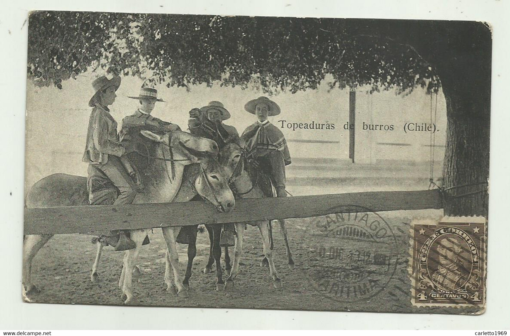 TOPEADURAS DE BURROS - CHILE 1913  VIAGGIATA  FP - Chili
