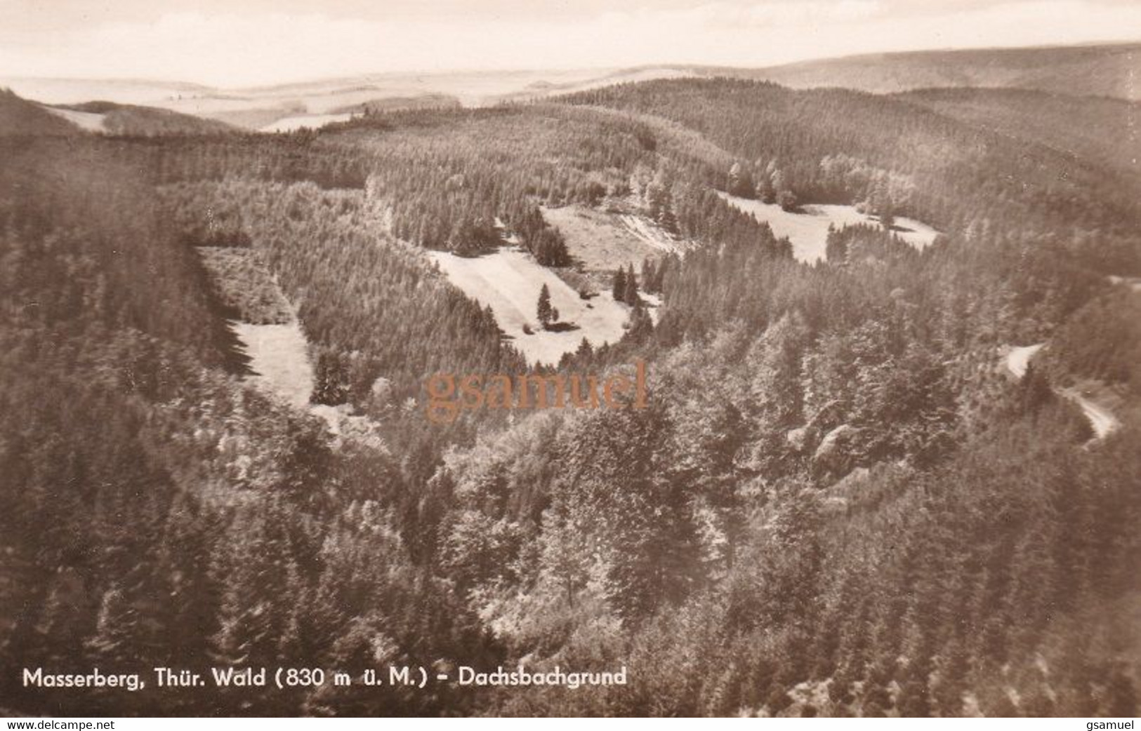 Allemagne – Masserberg, Thür. Wald (830 M ü. M.) - Dachsbachgrund - Masserberg