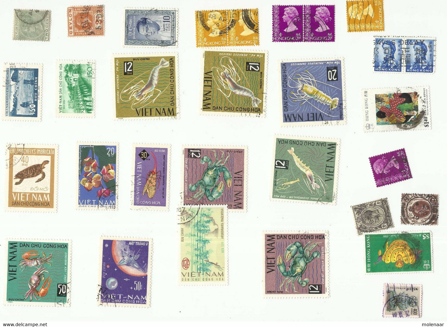 Sigarenkist Vol Met Zakjes Afgeweekte Postzegels Totall 125gram  (8356) - Lots & Kiloware (mixtures) - Min. 1000 Stamps