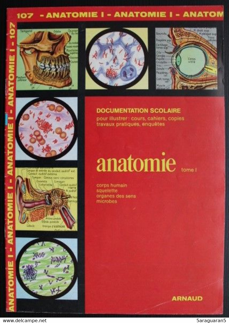 Documentation Scolaire Arnaud - 107 - Anatomie Tome I - Edition 1985 - Schede Didattiche