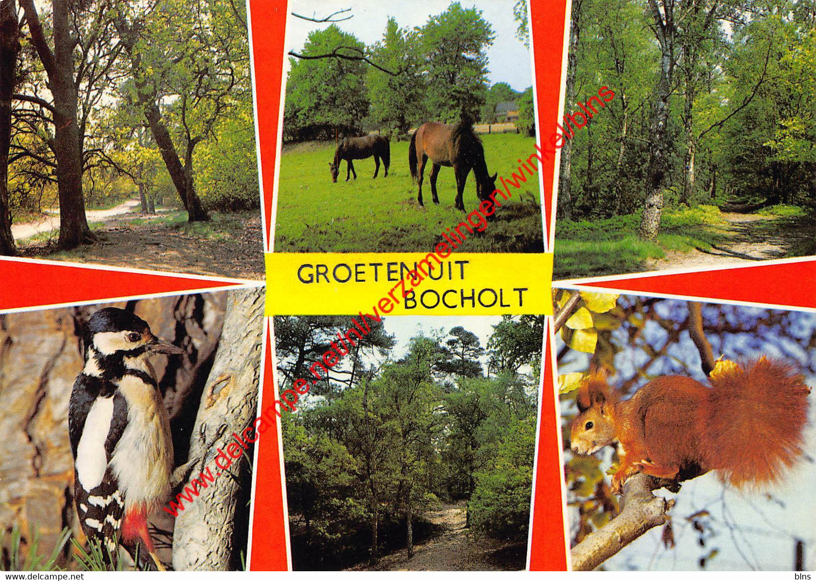 Groeten Uit … - Bocholt - Bocholt