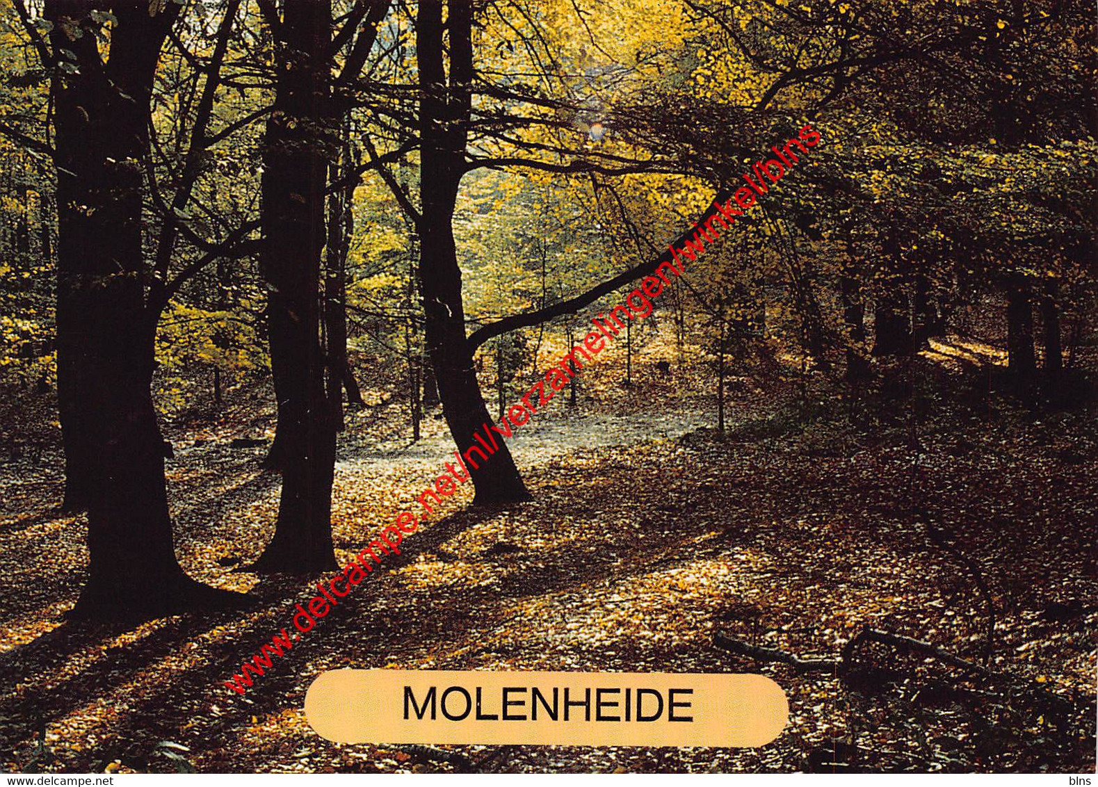 Molenheide - Houthalen - Houthalen-Helchteren