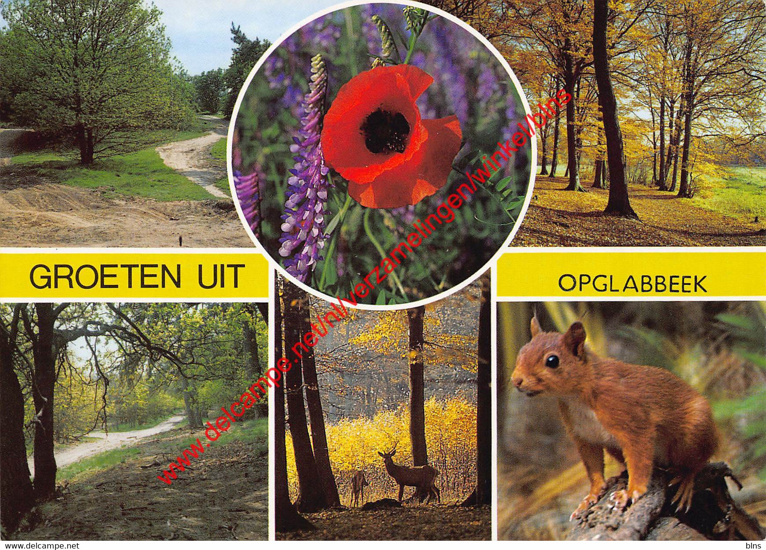 Groeten Uit … - Opglabbeek - Opglabbeek