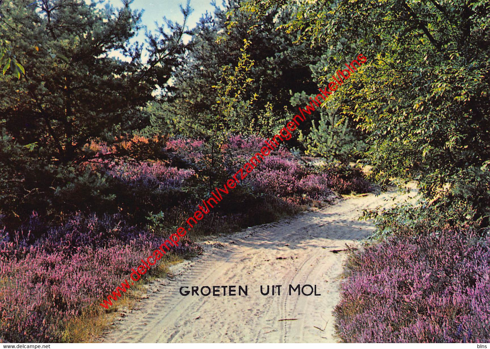 Groeten Uit … - Mol - Mol