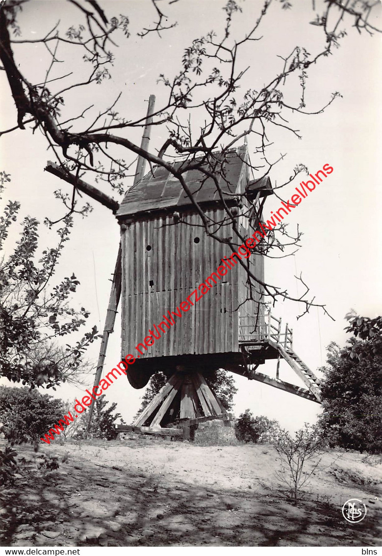 De Molen - Gelrode Aarschot - Aarschot