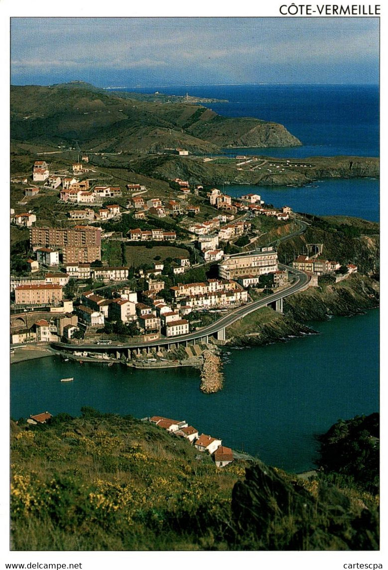 Decerbere A Argeles Plage Une Cote A La Beaute Sauvage       CPM Ou CPSM - Argeles Sur Mer