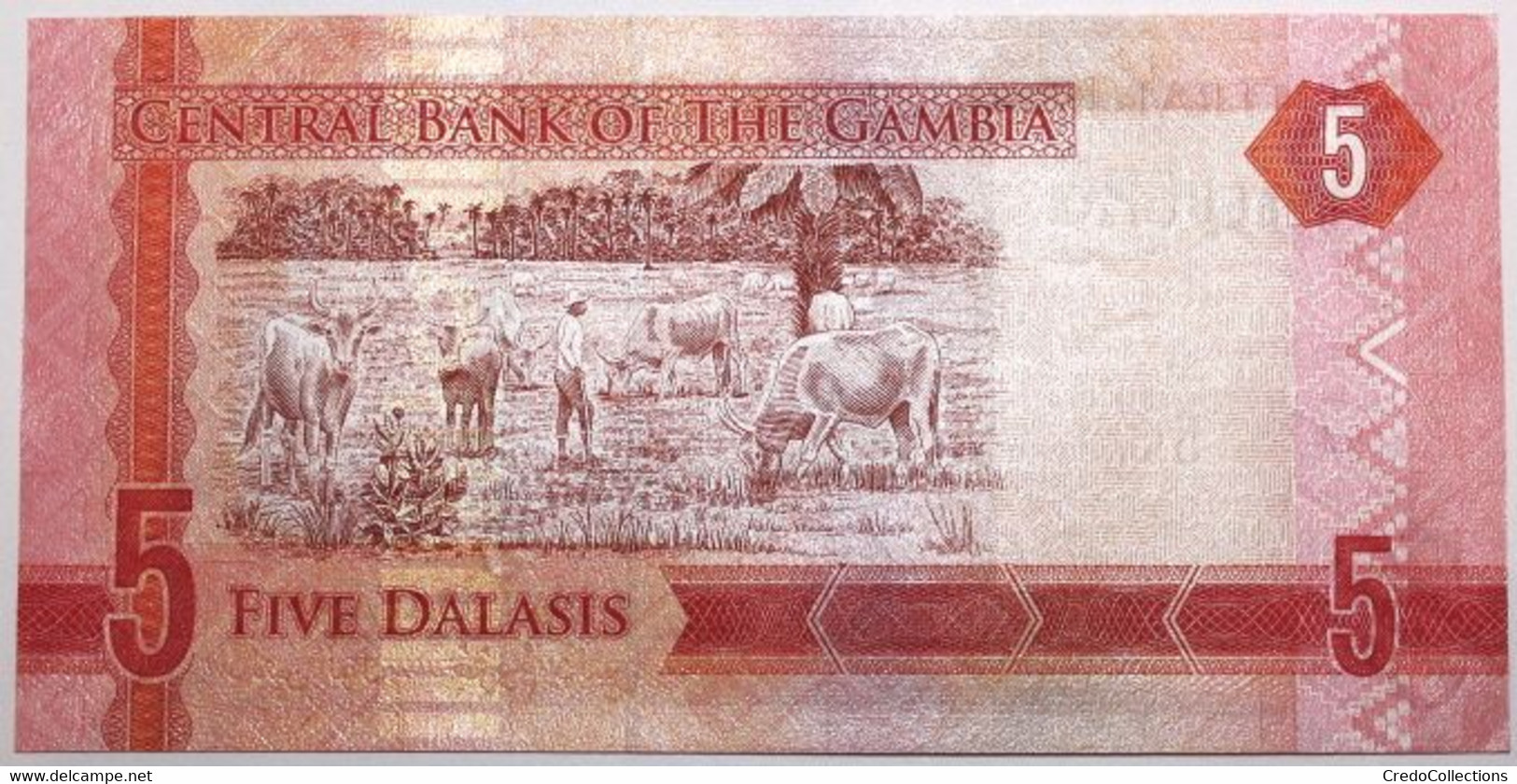 Gambie - 5 Dalasis - 2015 - PICK 31a - NEUF - Gambia