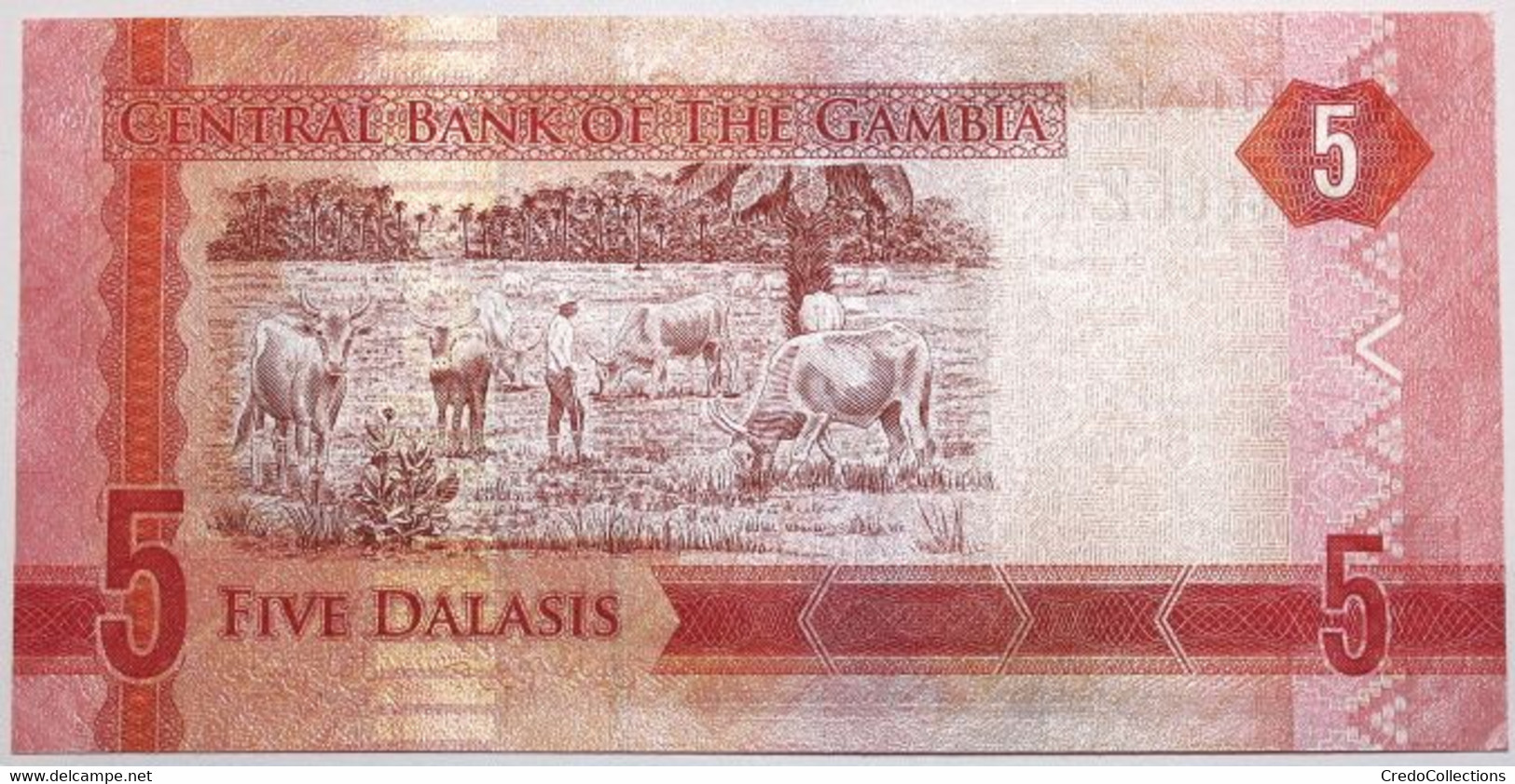 Gambie - 5 Dalasis - 2015 - PICK 31a - NEUF - Gambie