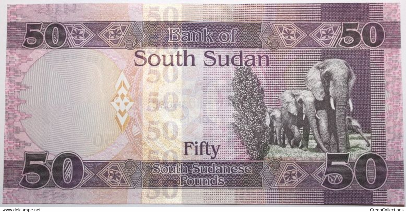 Soudan Du Sud - 50 Pounds - 2019 - PICK 14d - NEUF - Sudan Del Sud