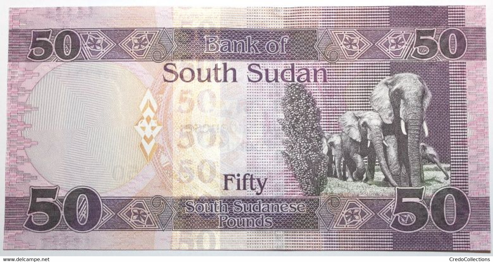 Soudan Du Sud - 50 Pounds - 2019 - PICK 14d - NEUF - South Sudan