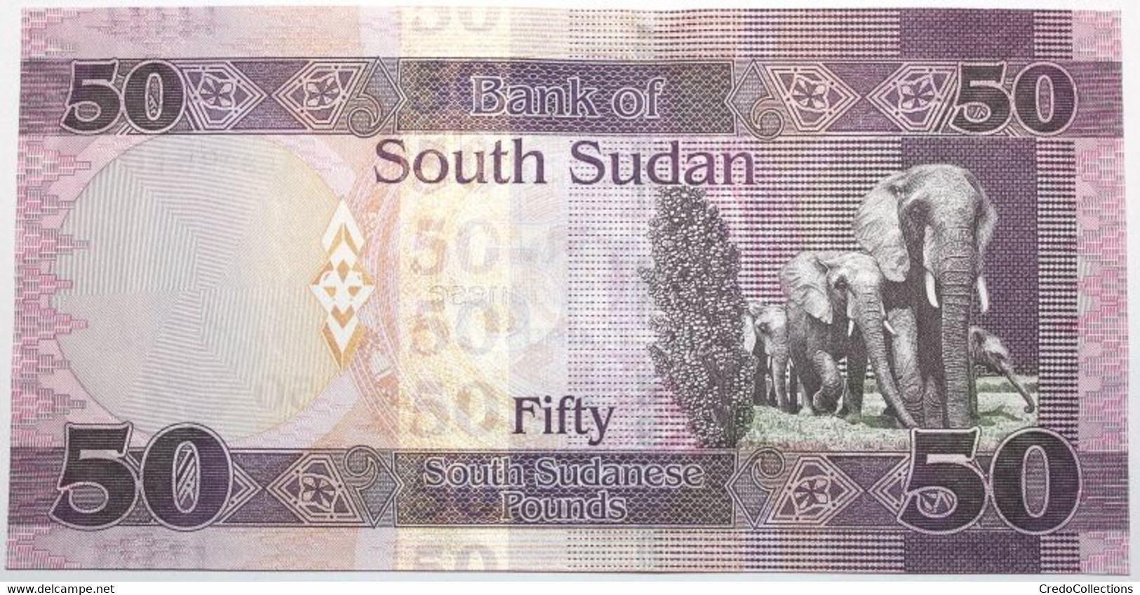 Soudan Du Sud - 50 Pounds - 2019 - PICK 14d - NEUF - Sudan Del Sud