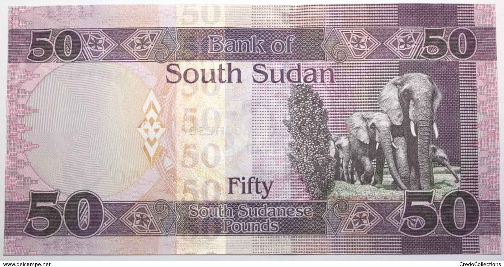 Soudan Du Sud - 50 Pounds - 2019 - PICK 14d - NEUF - Sudan Del Sud