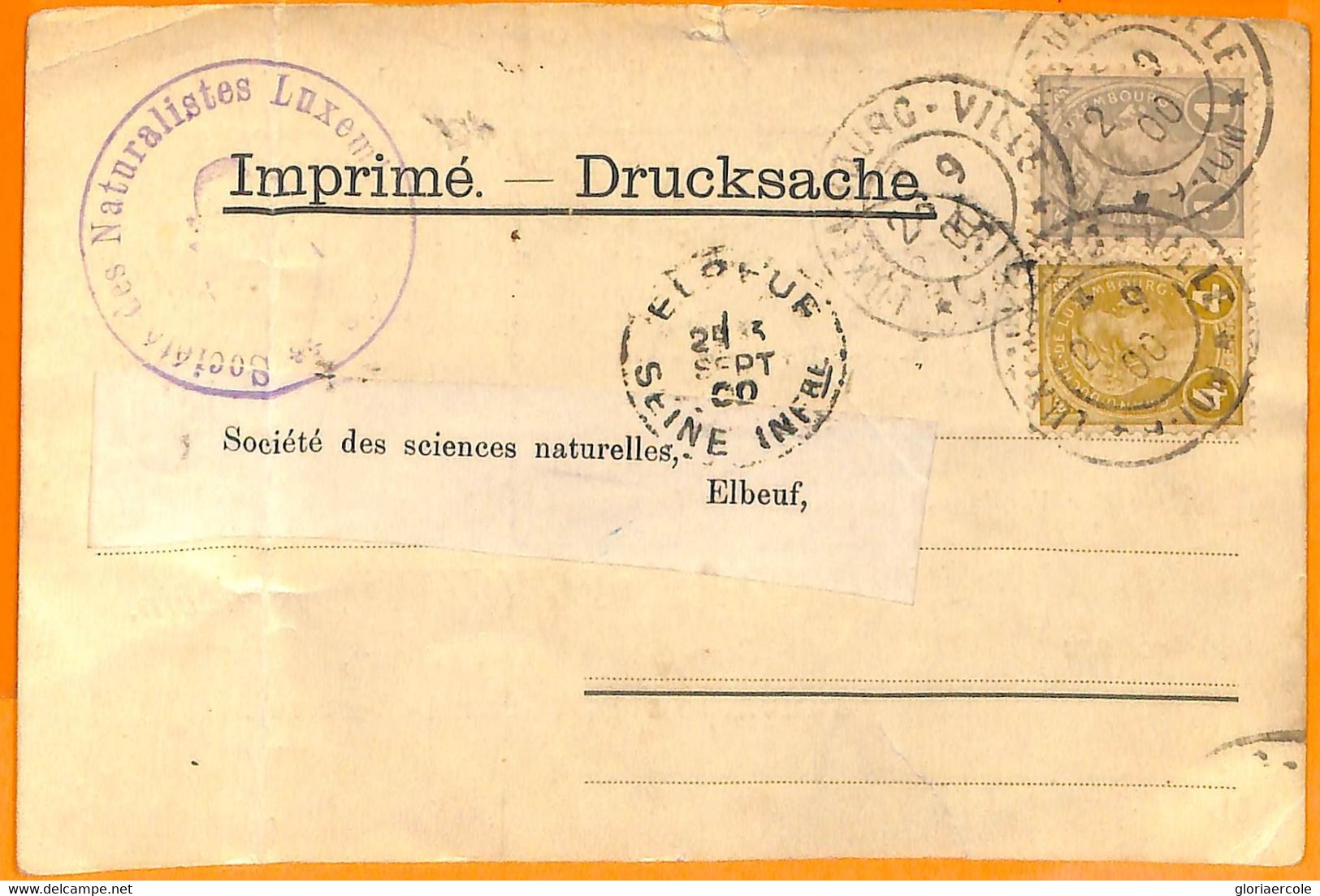 99362 - LUXEMBOURG - Postal History  - ADVERTISING COVER Animals Fauna 1900 - 1895 Adolphe Rechterzijde