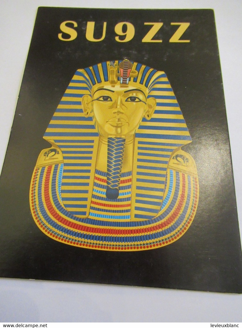 Carte Radio-Amateur Ancienne /Qsl/EGYPTE/Giza Cairo, Egypt/2000    CRA4 - Guiza