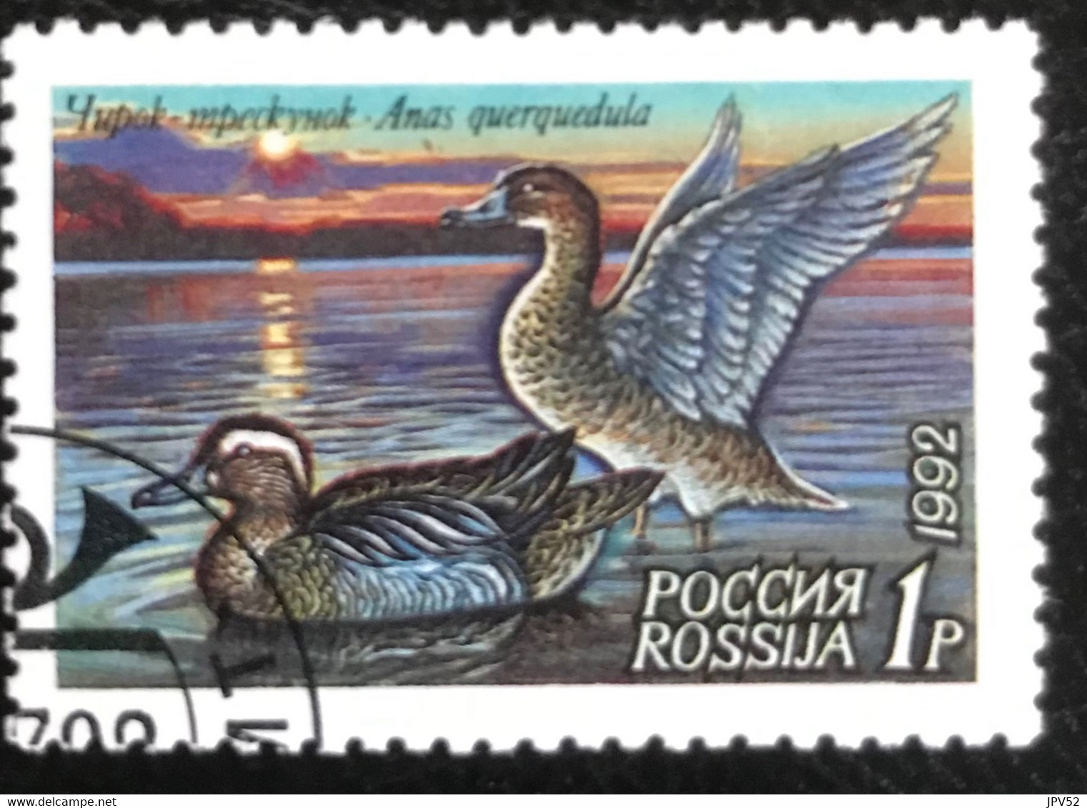 Rossija - Russische Federatie - 11/22 - (°)used - 1992 - Michel 254 - Eenden - Usati
