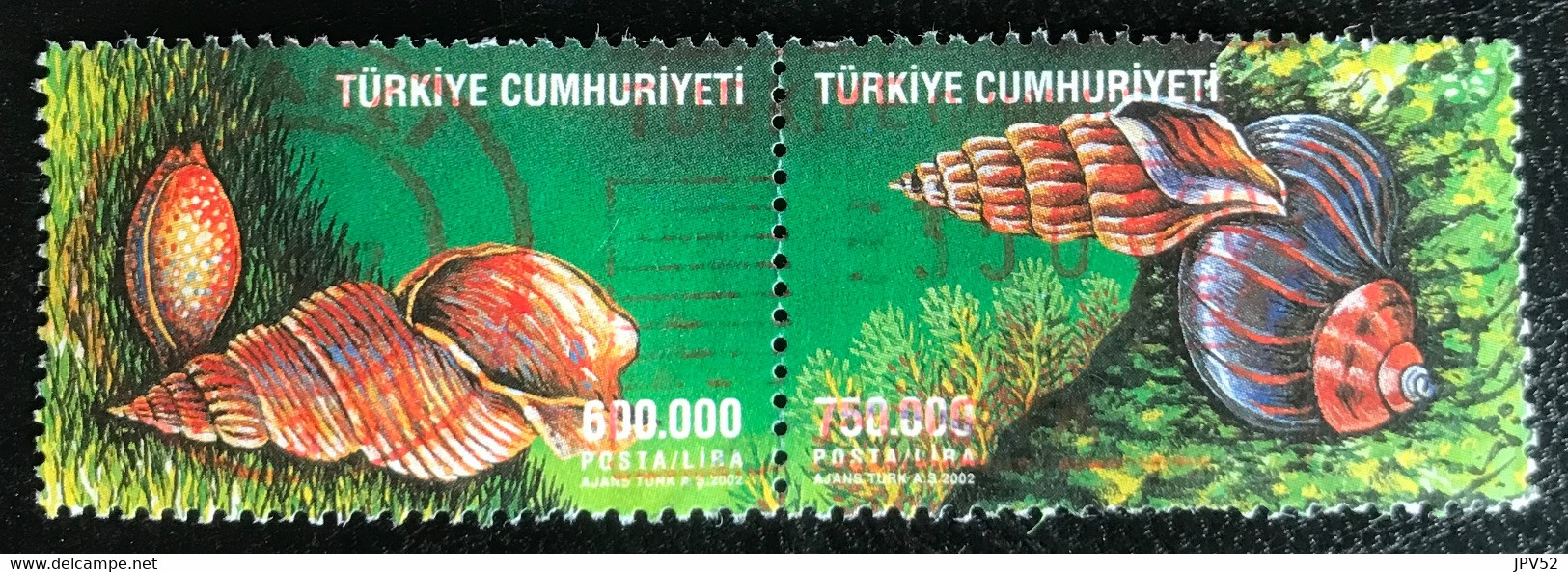 Türkiye Cumhuriyeti - Turkije - 11/23 - (°)used - 2002 - Michel 3315-3312 - Schelpen En Zeeslakken - Usati