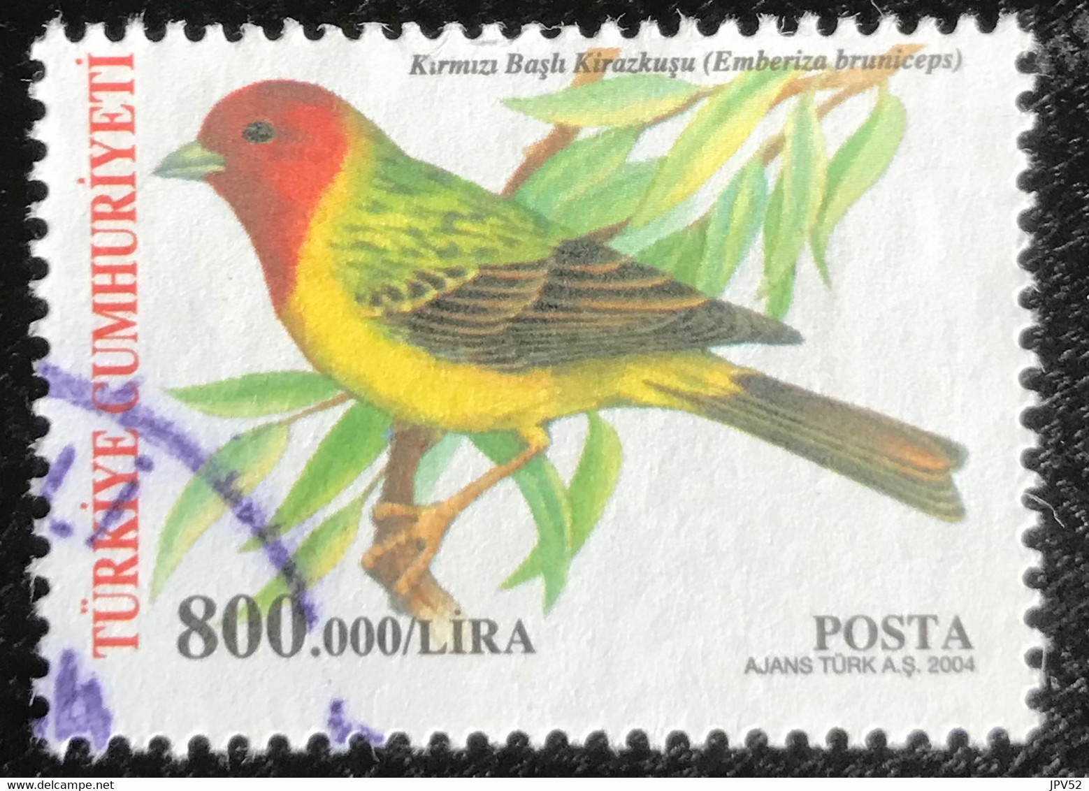 Türkiye Cumhuriyeti - 11/23 - (°)used - 2004 - Michel 3389 - Zangvogels - Used Stamps