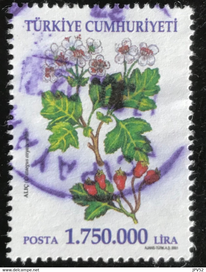 Türkiye Cumhuriyeti - 11/23 - (°)used - 2001 - Michel 3276 - Heilzame Bloemen - Used Stamps