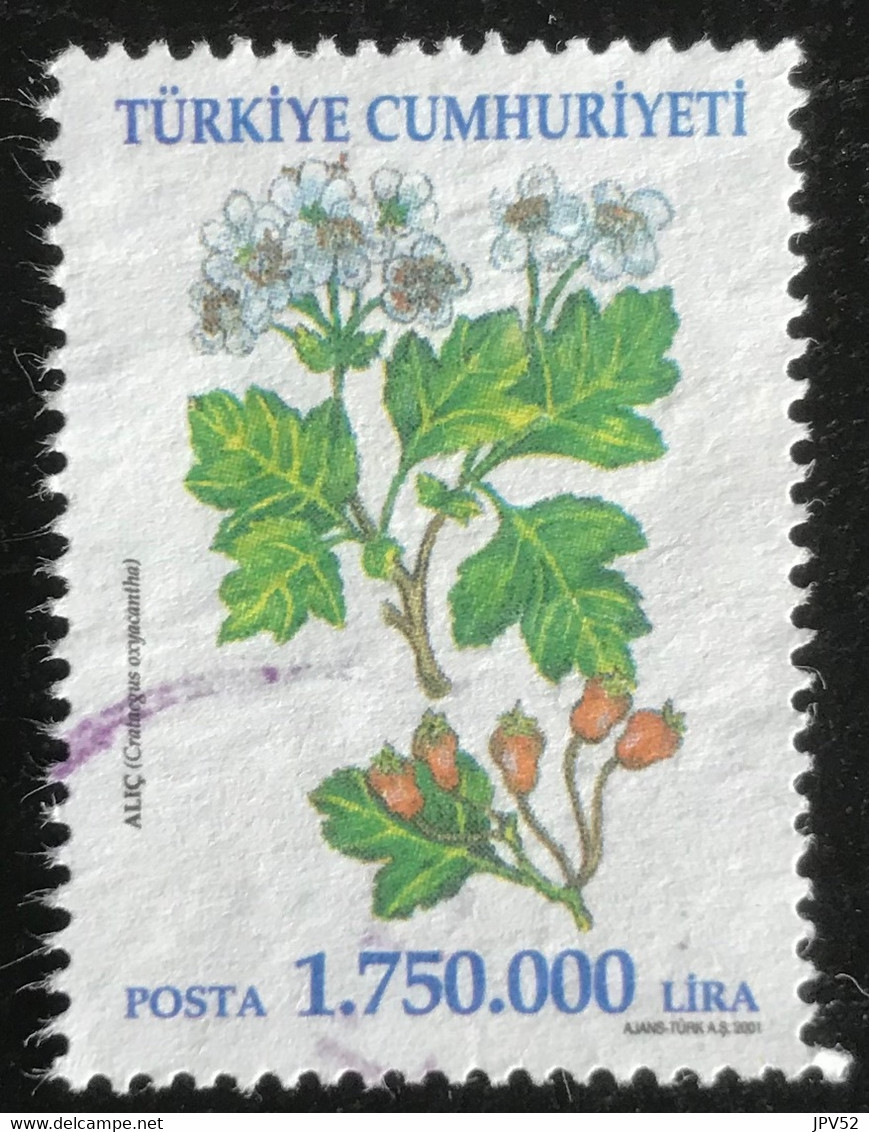 Türkiye Cumhuriyeti - 11/23 - (°)used - 2001 - Michel 3276 - Heilzame Bloemen - Used Stamps