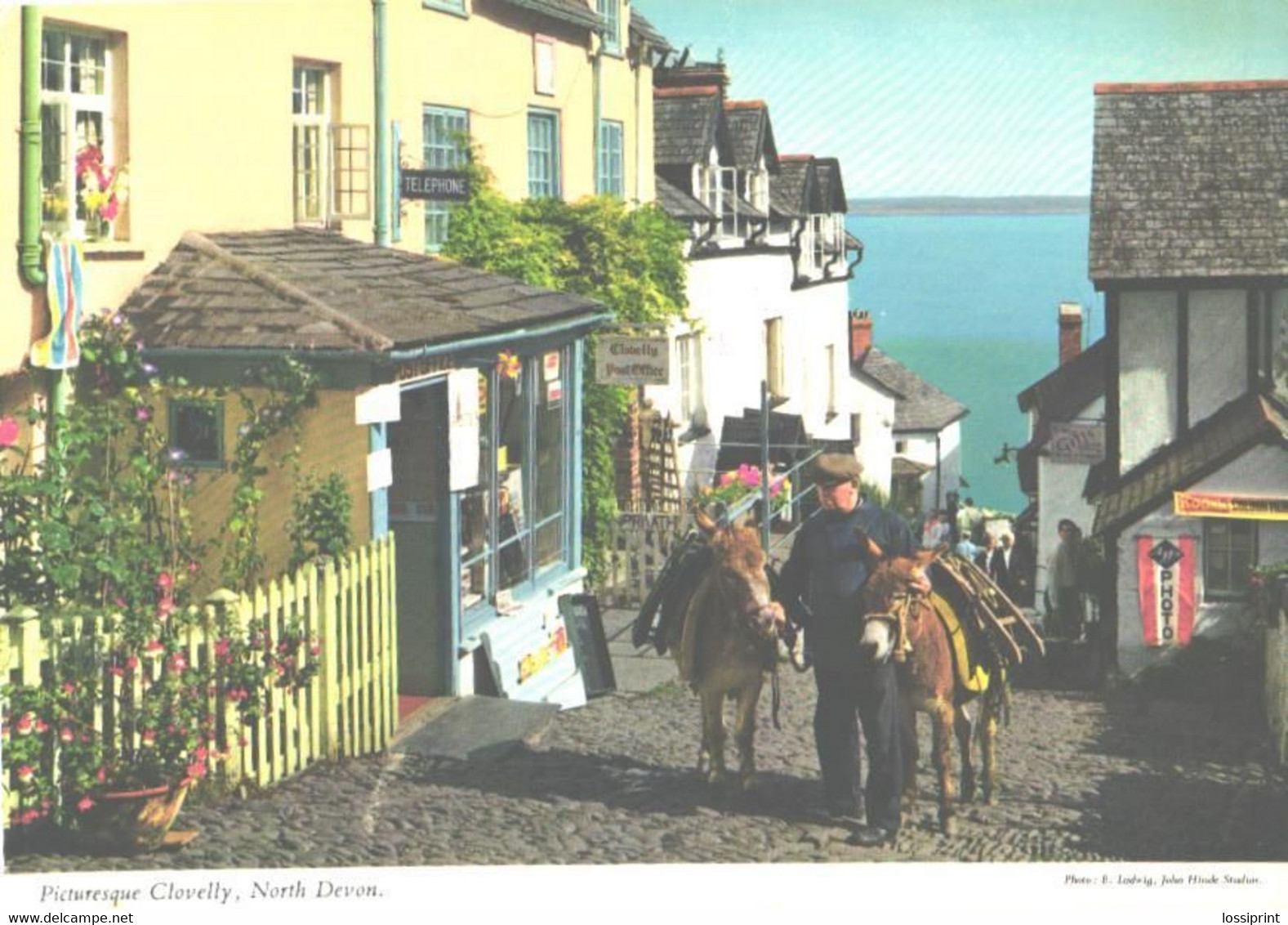 United Kingdom:Devon, Clovelly Street View - Clovelly